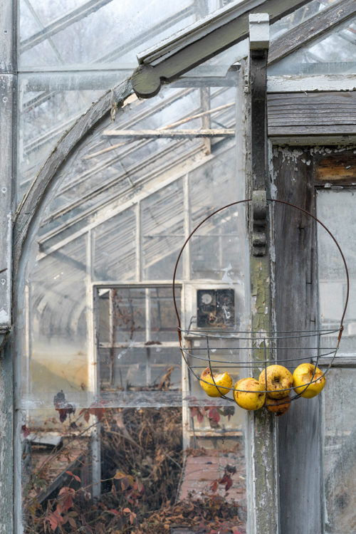 Apples and Greenhouse
