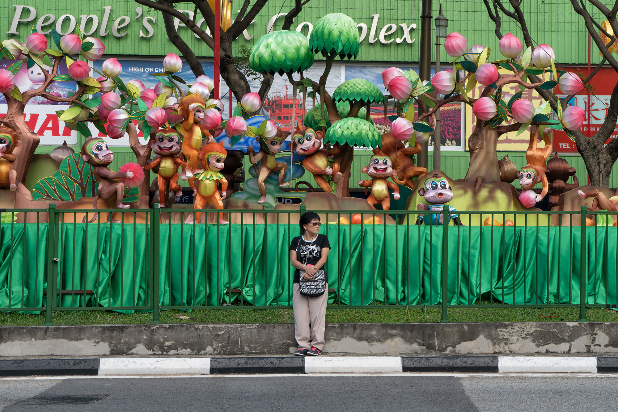 Year of the Monkey, Singapore