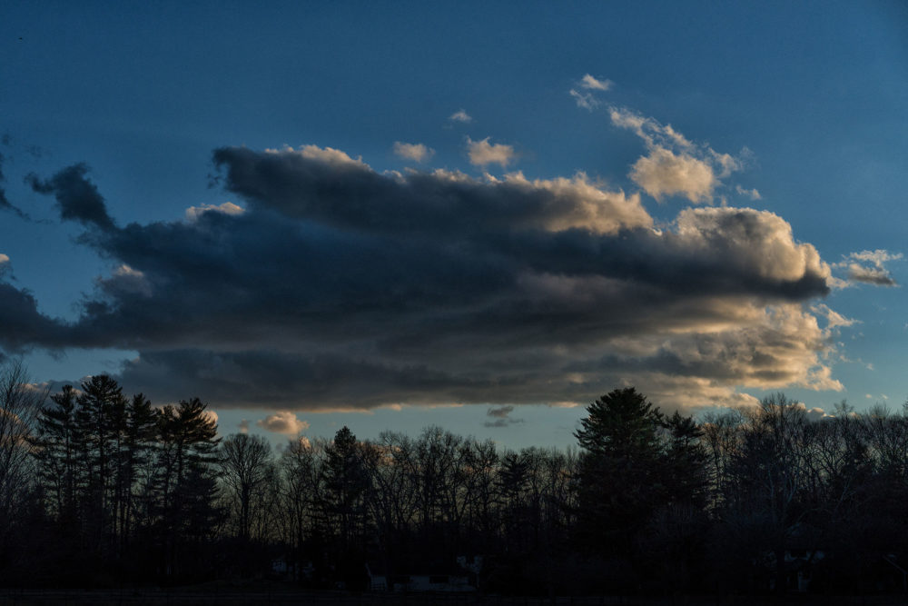Giant Cloud, Montgomery Pinetum