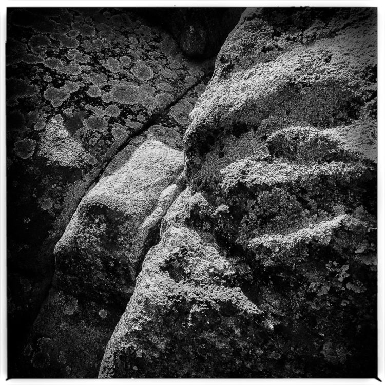 Rocks #1, Montgomery Pinetum