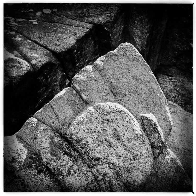 Rocks #2, Montgomery Pinetum
