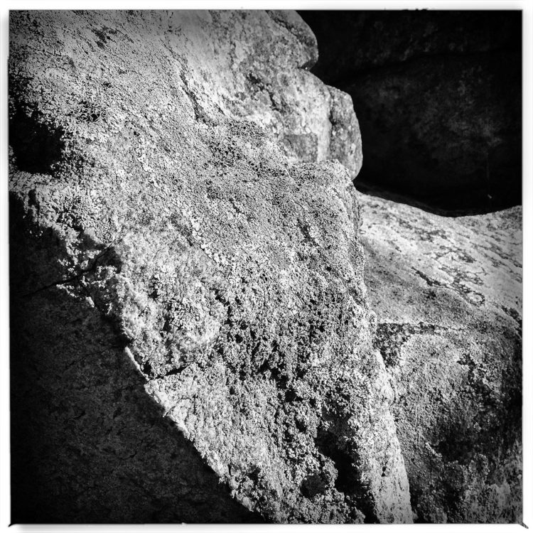 Rocks #3, Montgomery Pinetum