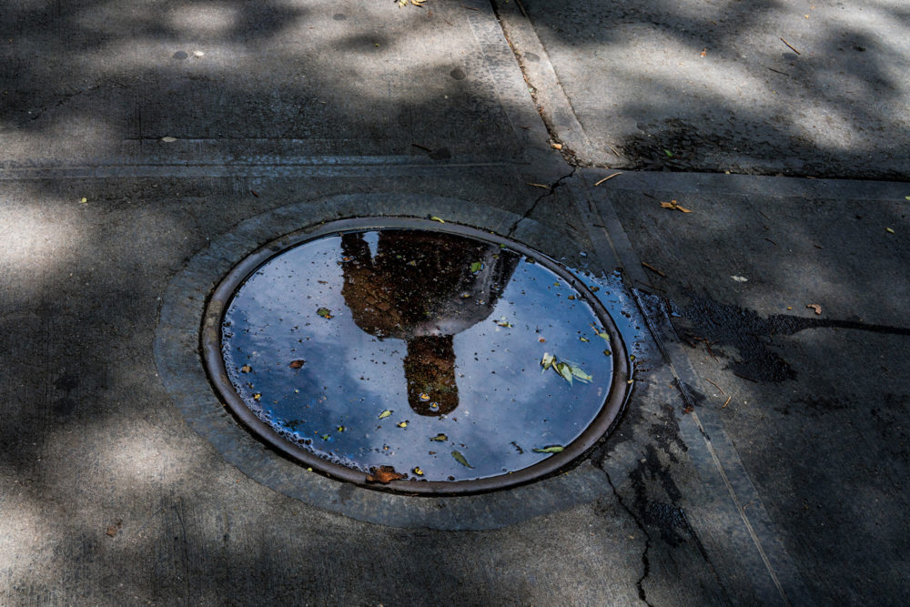 Manhole Cover, Broadway