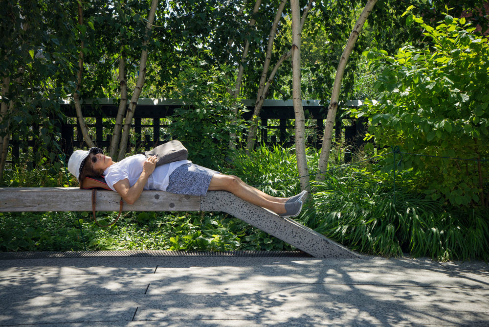 Naptime on the High Line