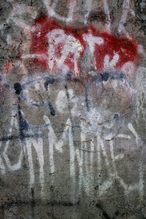 Graffiti, Montgomery Pinetum
