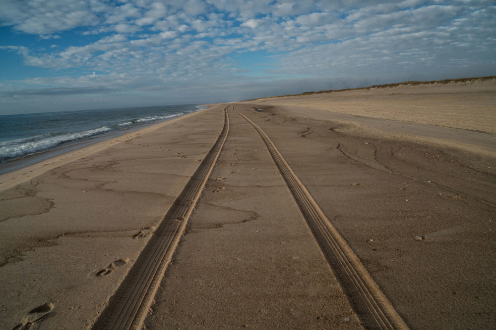 Car Tracks on the Beach, Amagansett