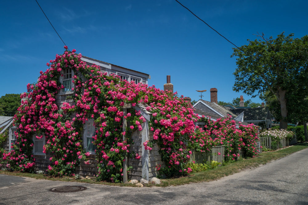 Sconset Cottage, Nantucket