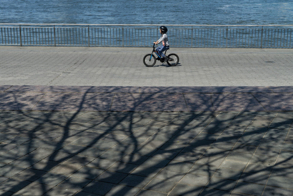 Bicycle and Tree Shadow