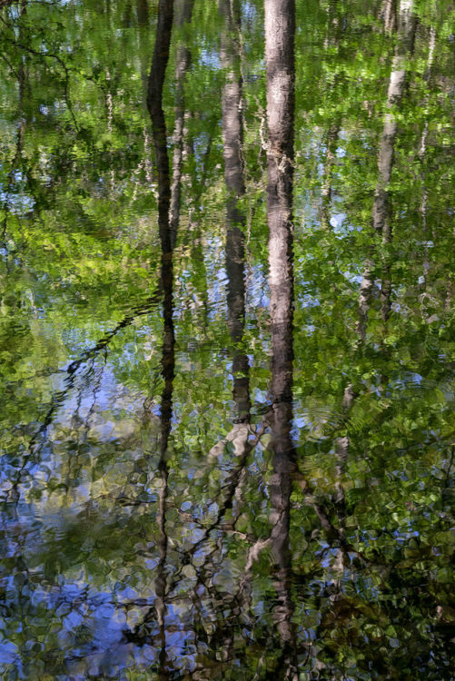 Spring, Reflected