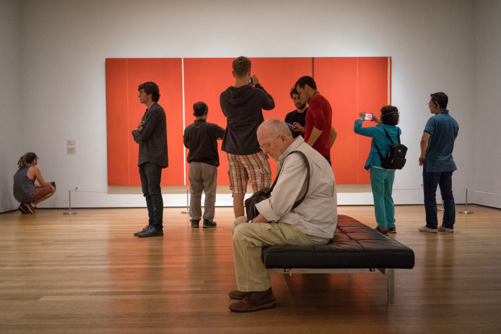 Barnett Newman at MoMA