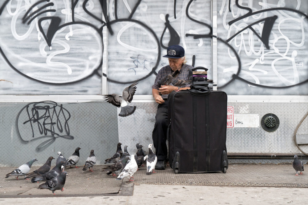 Pigeon Feeding, The Bowery