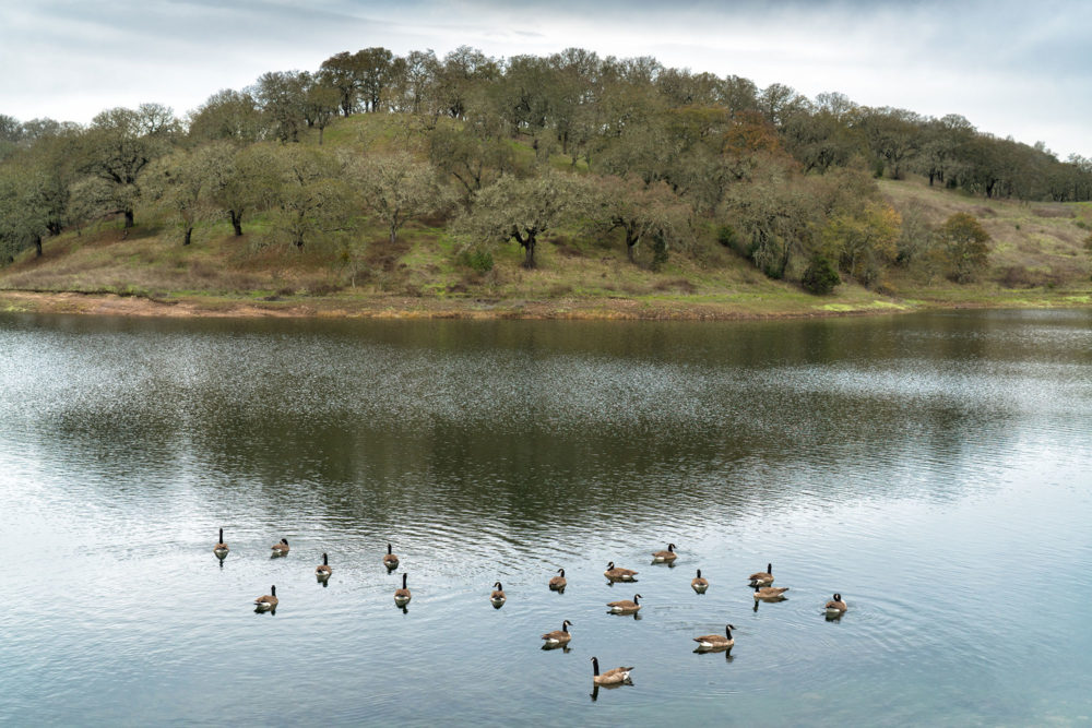 Suttonfield Lake, Sonoma Valley Regional Park