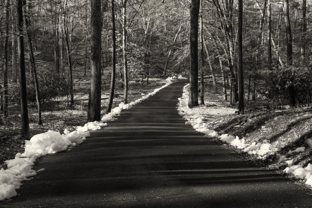 The Road, Montgomery Pinetum