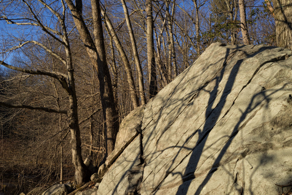 Rock and Shadows, Mianus River Park