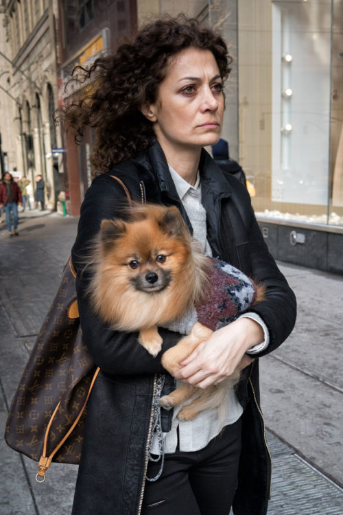 Dog in Arms, Fifth Avenue