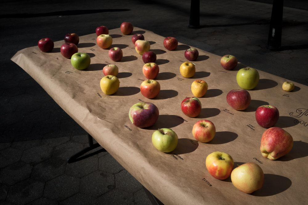 Apples, Union Square Greenmarket
