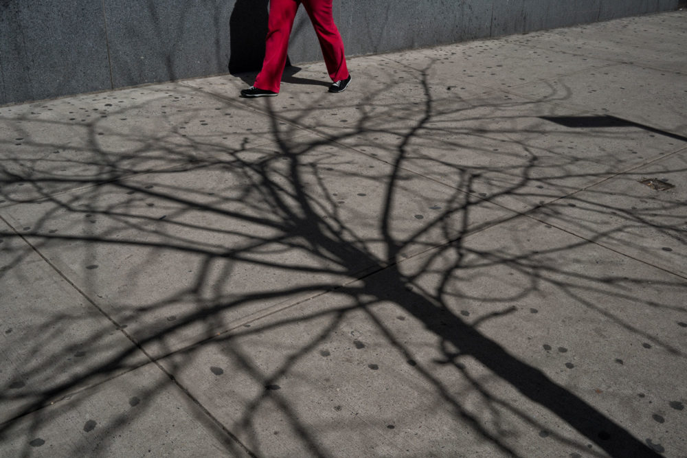 Red Legs and Shadows, University Place