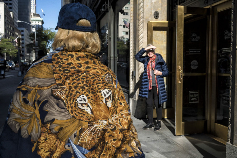 Leopard Print Scarf, Fifth Avenue