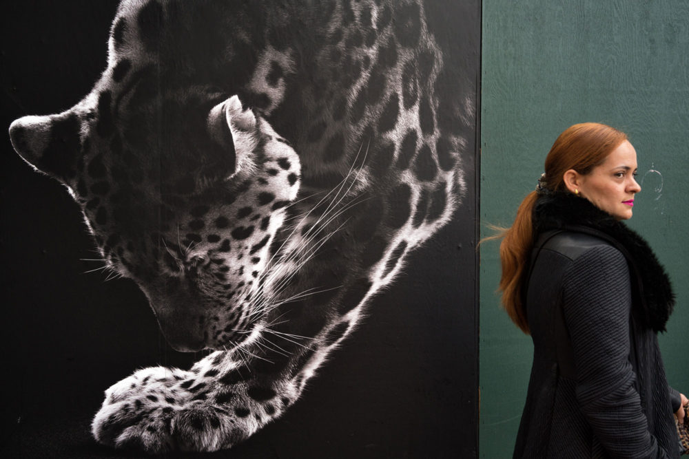 A Leopard and a Lovely Lady, 59th Street