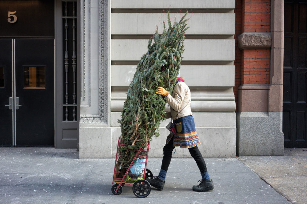 Christmas Tree, !7th Street