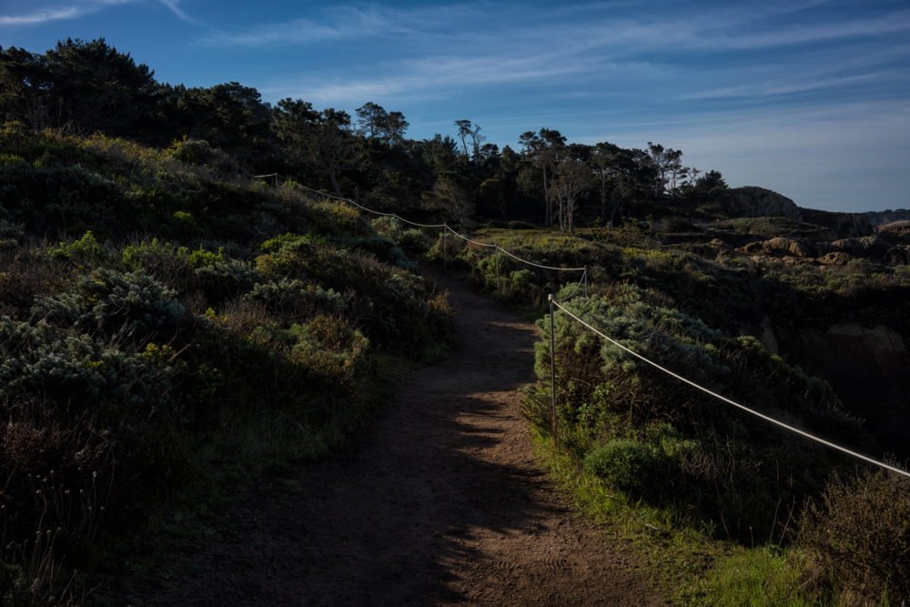 Hiking Trail, Point Lobos