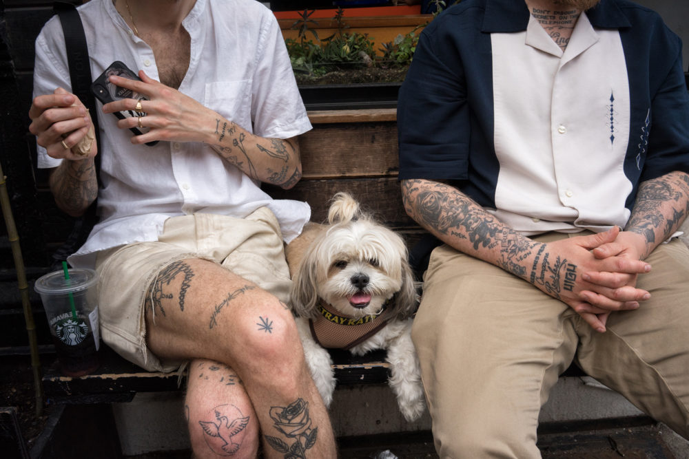 Dog and Tattoos, East Broadway
