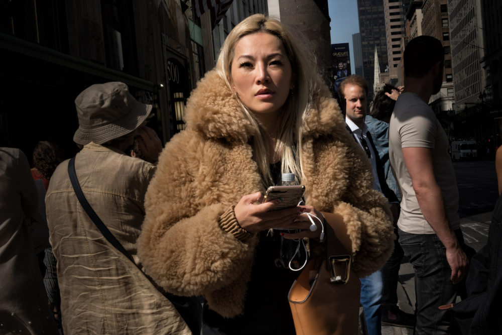 Fur Coat, Fifth Avenue