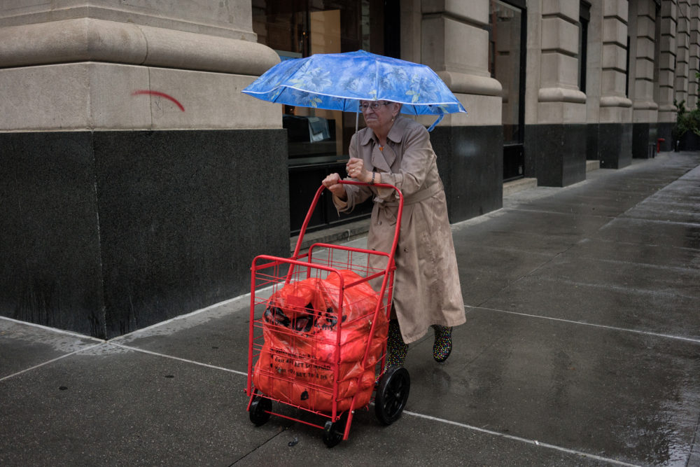 Blue Umbrella, Fifth Avenue