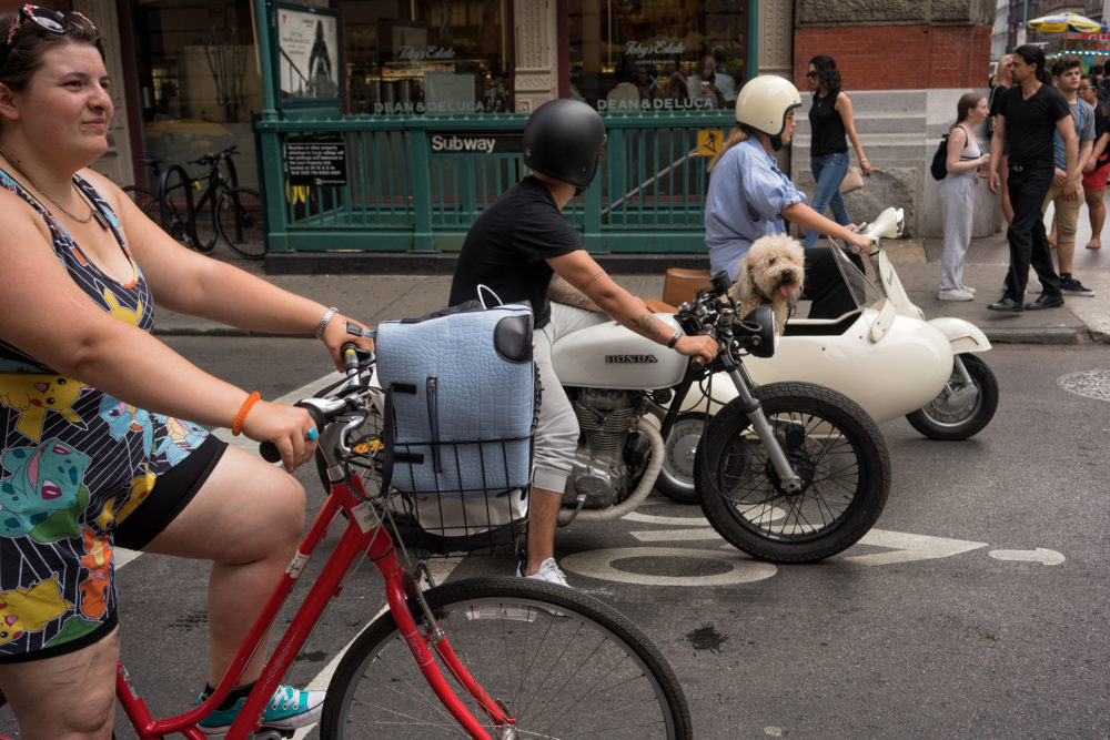 Dog in a Sidecar, Prince Street