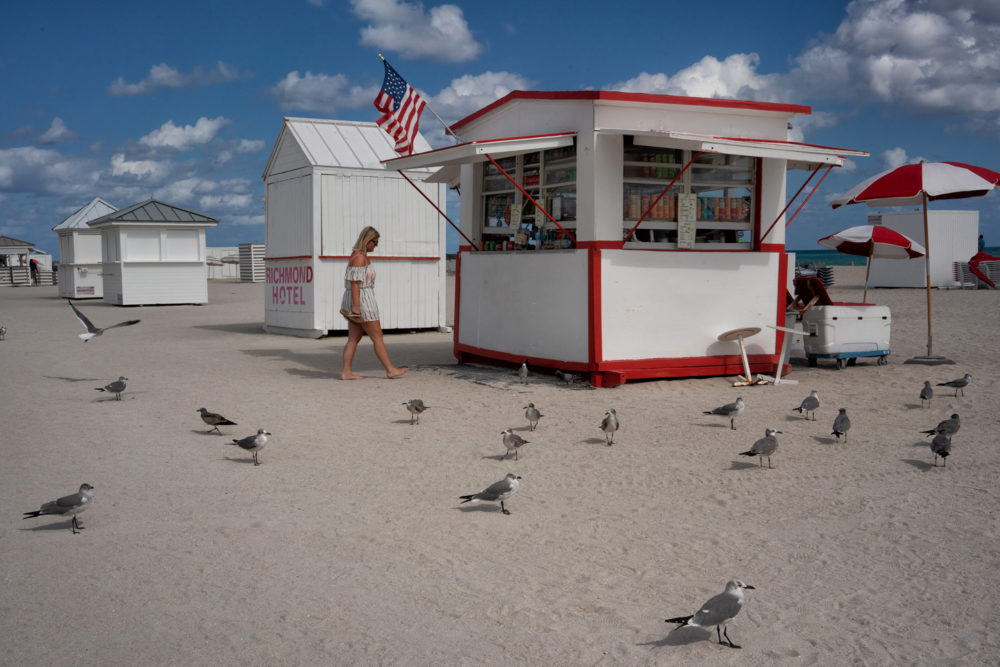 South Beach Seagulls