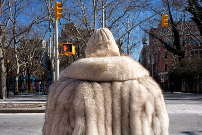 Fur Coat, Chrystie Street